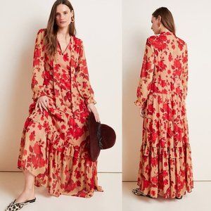 Anthropologie Daniel Rainn Rosalita Sheer Maxi Dress Size Medium NWOT $168